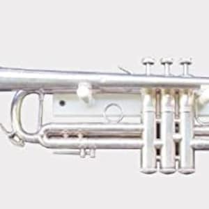 Standard Mounts for Trumpets and Cornets Display, White (Made in the USA)