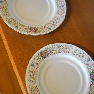 May include: Two white ceramic plates with floral designs. The plates have a gold trim and a border of pink, blue, and green flowers and vines. The plates are on a wooden surface.