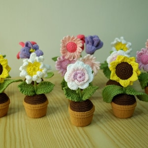 Peut inclure: Un ensemble de huit arrangements floraux en crochet dans des pots bruns. Les fleurs sont de différentes couleurs, notamment le jaune, le blanc, le rose et le violet.