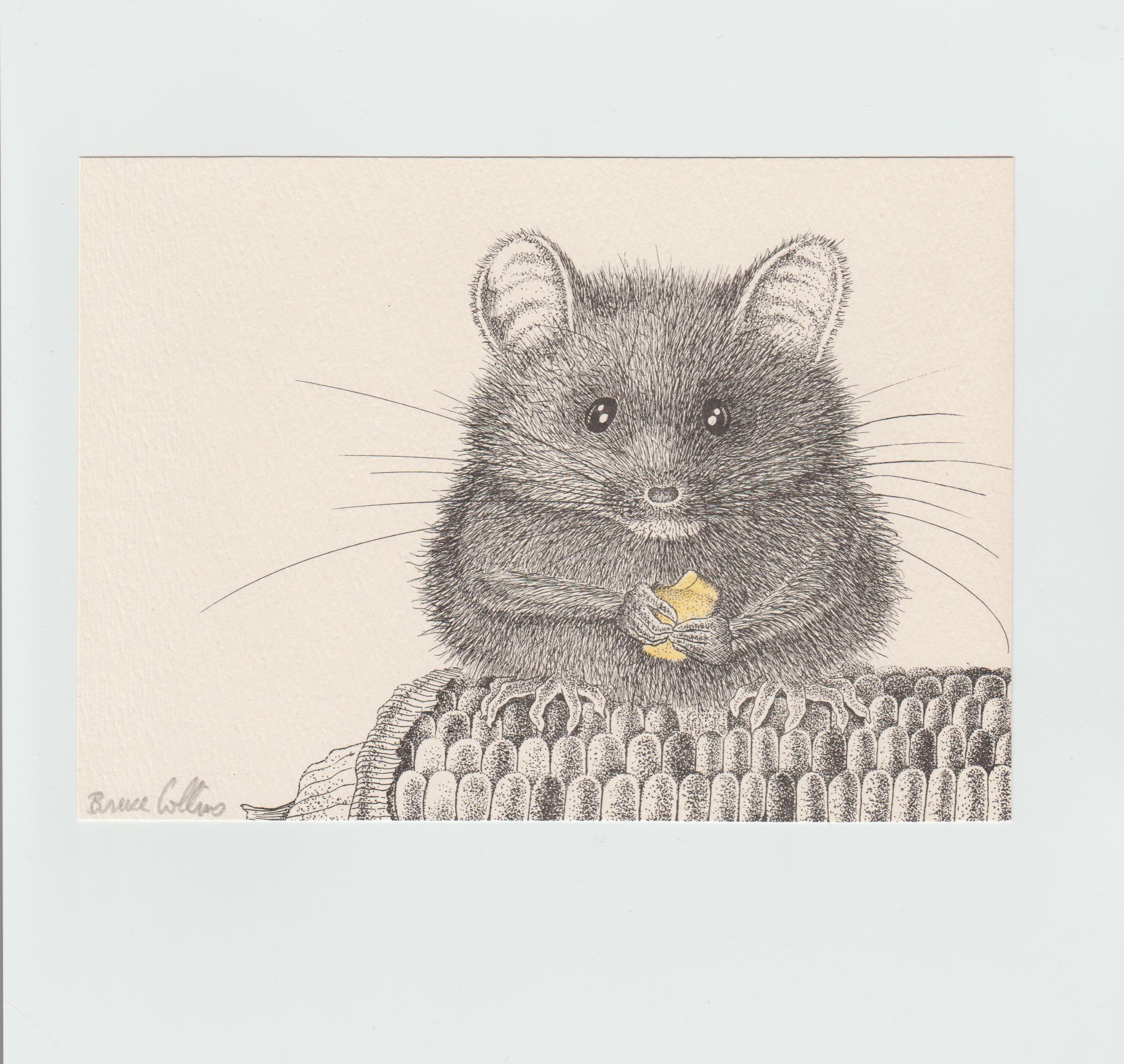 Mouse on Corn Cob - Etsy