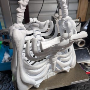 May include: A white, 3D-printed skeleton-shaped handbag. The bag features a rib cage design with a handle that mimics the spine. The bag is sitting on a brown surface. The overall theme is gothic and anatomical.
