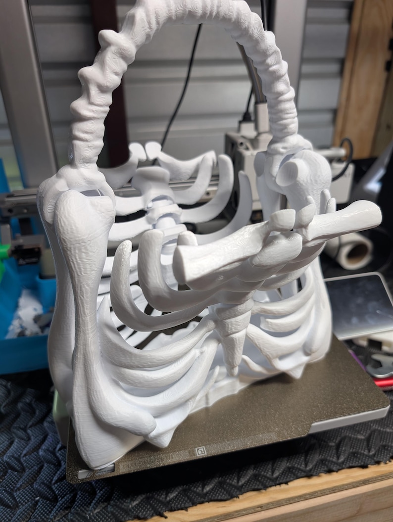 May include: A white, 3D-printed skeleton-shaped handbag. The bag features a rib cage design with a handle that mimics the spine. The bag is sitting on a brown surface. The overall theme is gothic and anatomical.