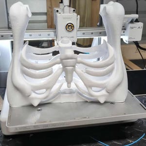May include: A 3D-printed white rib cage model is being created by a 3D printer. The printer has a white frame and is labeled "Bambu Lab". Yellow handled pliers are on the black surface below.