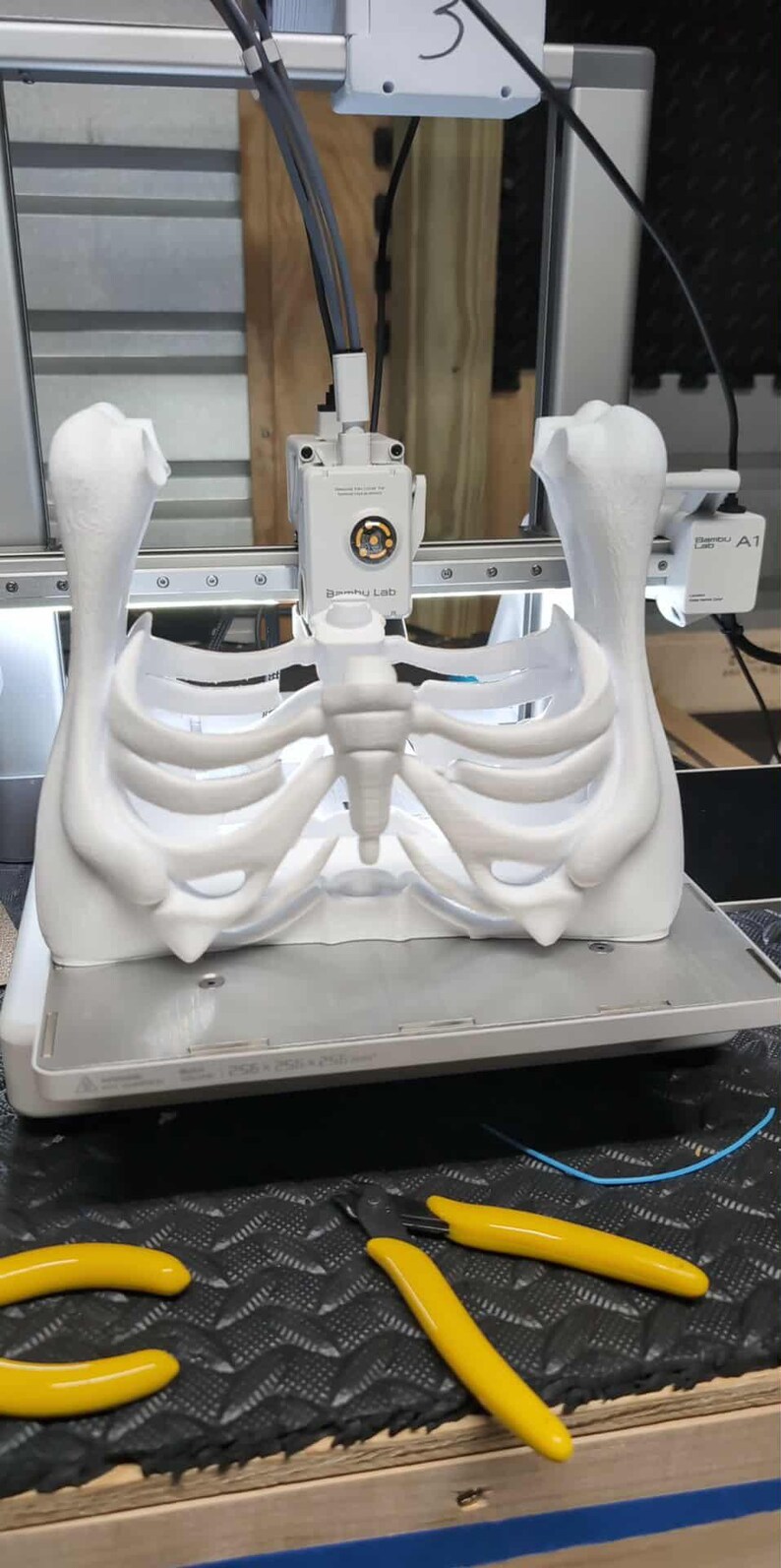 May include: A 3D-printed white rib cage model is being created by a 3D printer. The printer has a white frame and is labeled "Bambu Lab". Yellow handled pliers are on the black surface below.