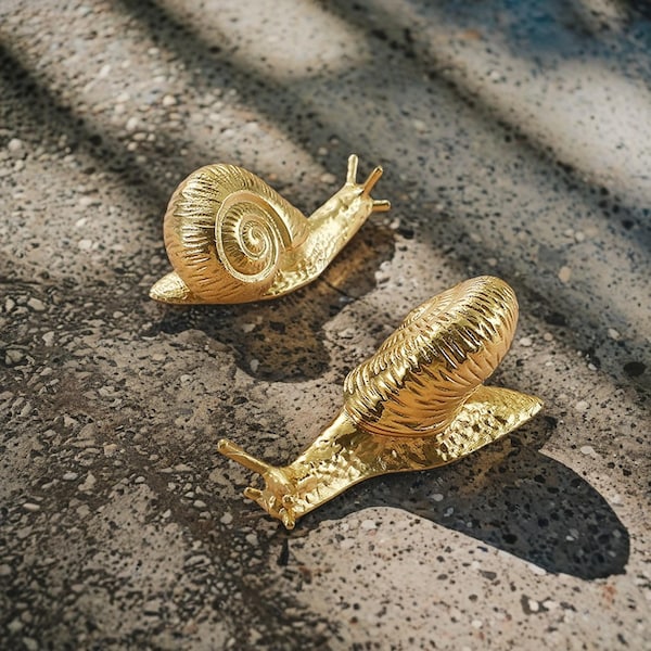 Brass Shell Door Hardware Etsy