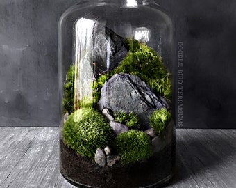 Indoor Moss Garden Multilevel Recycled Glass Terrarium