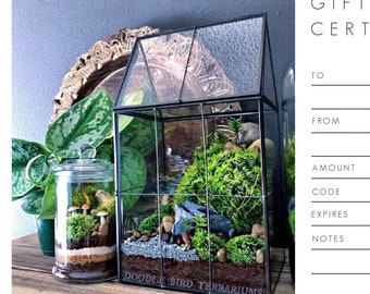 Certificado de regalo de terrario imprimible personalizado de cincuenta dólares
