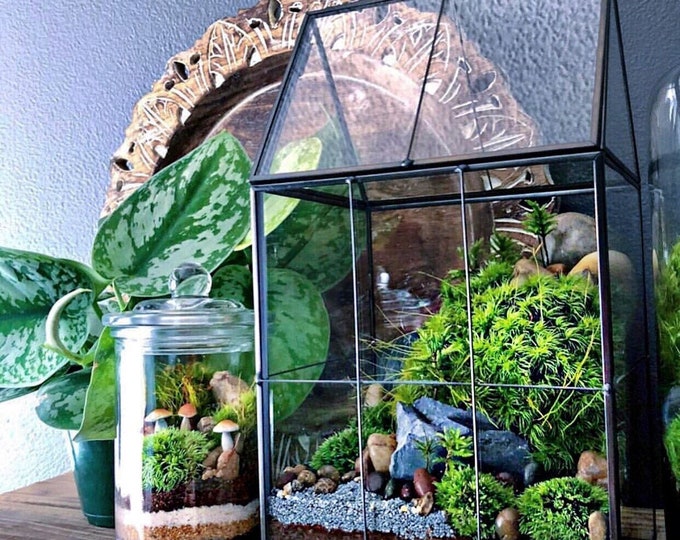 Featured listing image: Art Deco Style Glass Terrarium Real Estate Home Buyer Gift