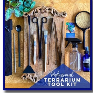 Deluxe Black Stainless Steel Terrarium Toolkit | Premium 12-Piece Set | Giftable, High-Quality Garden Tools for Advanced Plant Care Crafting