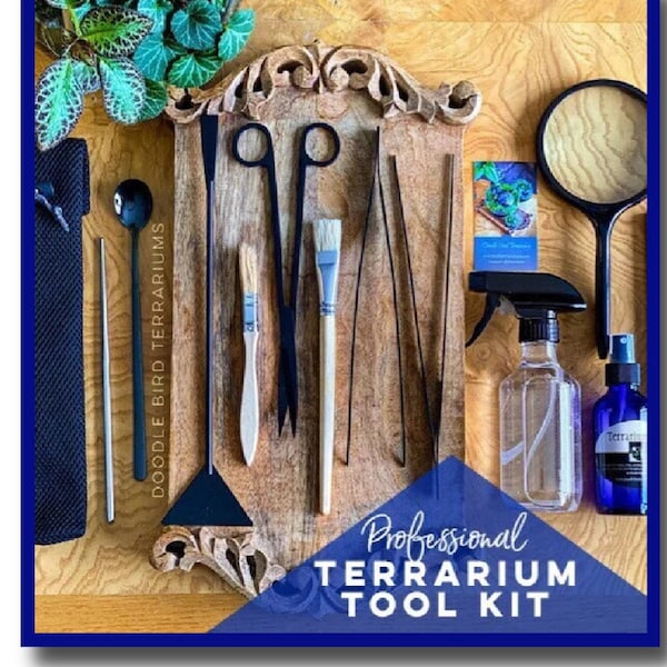 Deluxe Black Stainless Steel Terrarium Toolkit | Premium 12-Piece Set | Giftable, High-Quality Garden Tools for Advanced Plant Care Crafting