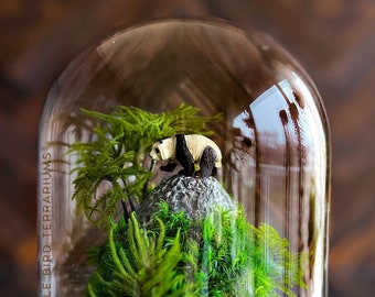 Tiny Animal Terrarium with Preserved Moss - No Care Required - Panda Black Bear Horse