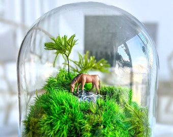 Horse Pasture Terrarium with Preserved Moss - No Care Required