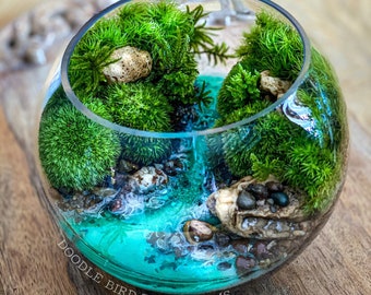 Gift Ready Terrarium Florida Springs - Handcrafted Miniature Ecosystem with Live Moss, Unique Home Decor - Ideal for Nature Enthusiasts