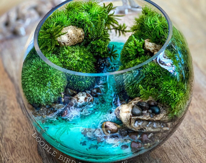 Featured listing image: Gift Ready Terrarium Florida Springs - Handcrafted Miniature Ecosystem with Live Moss, Unique Home Decor - Ideal for Nature Enthusiasts