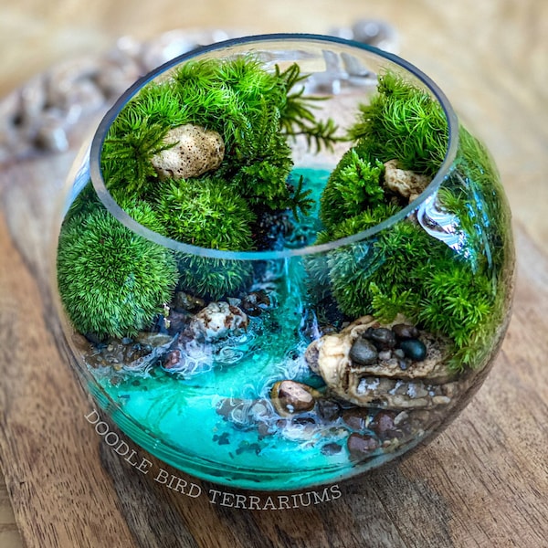 Gift Ready Terrarium Florida Springs - Handcrafted Miniature Ecosystem with Live Moss, Unique Home Decor - Ideal for Nature Enthusiasts