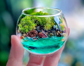 Handcrafted Miniature Moss Terrarium with Resin Ocean - Small Desk Ecosystem with Stones, 2” Pocket Garden