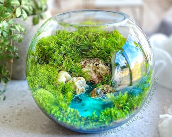 Island Oasis Terrarium with Live Plants