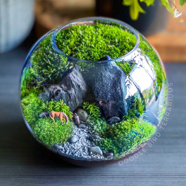 Wild Mountain Mossy Meadow Grazing Horse Terrarium