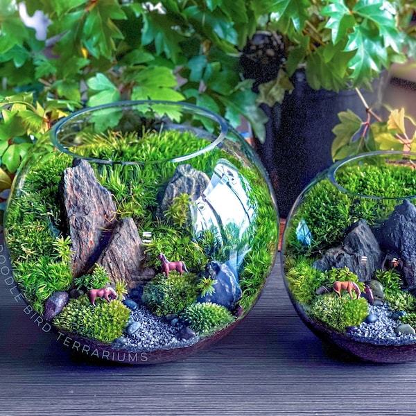 Wild Mountain Mossy Meadow Grazing Horse Terrarium
