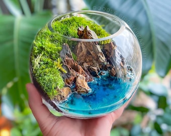 Mini Blue Lagoon Terrarium with Live Moss