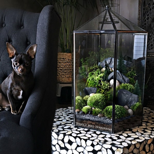 X Large Glass Terrarium, Geometric Hexagon Decor