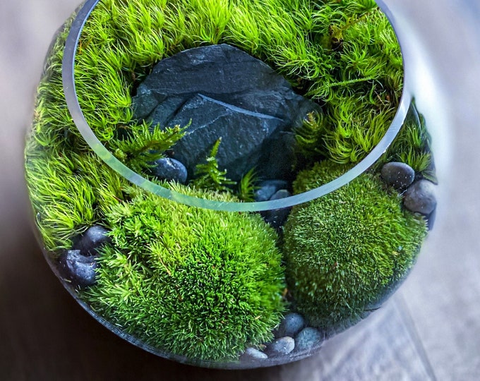 Featured listing image: Perfect Anniversary Gift: Custom Moss Terrarium with Natural Stone Landscape – Unique, Easy Care, Ready to Gift Eco Décor For Men or Women