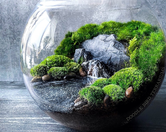Featured listing image: Pacific Northwest Terrarium / Moody Grey Landscape / Gift for Plant Lovers / Live Moss