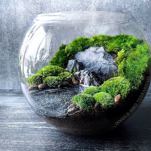 Pacific Northwest Terrarium Moss Green Moody Landscape