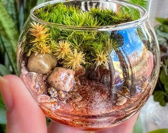 Handcrafted Mini Creek Terrarium - Epoxy Resin Pocket Garden Series, Small Artisan Moss Ecosystem, Quality Desk Ornament