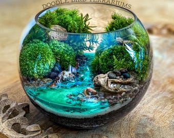 Turquoise Tropical Springs Terrarium with Live Moss in Mini Bubble Bowl