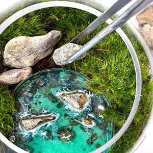 May include: A terrarium with green moss, small rocks, and a clear glass dish filled with a turquoise liquid with white swirls. A pair of tweezers holds a small rock over the dish.