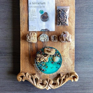 May include: A small, round terrarium with a turquoise blue resin base and a variety of small rocks and stones. The terrarium is on a wooden tray with the words "Doodle Bird Terrariums" printed on the tray. The image also includes a small bag of decorative stones and a printed instruction sheet for creating a terrarium.