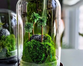 Handcrafted Miniature Palm Tree Terrarium - “Tropical Oasis” with Preserved Moss