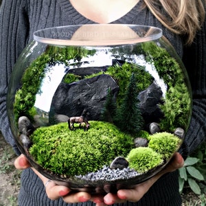 Country Pasture Terrarium with Grazing Horse in Large Glass Bowl