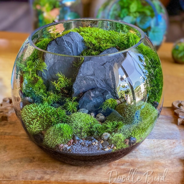 Hidden Highlands Mountain View Moss Terrarium