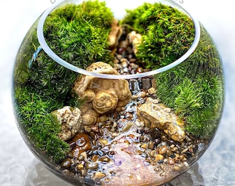 Rocky Creek Terrarium with Earthy Brown Stones Low Maintenance Interior Plant Decor