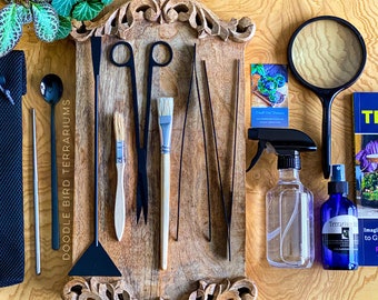 Professional Terrarium Tool Kit - 12 Piece Black Stainless Steel Set