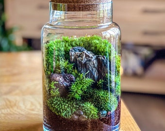 Terrario XL de bosque de musgo con montañas de pizarra en una casa de cristal geométrica.