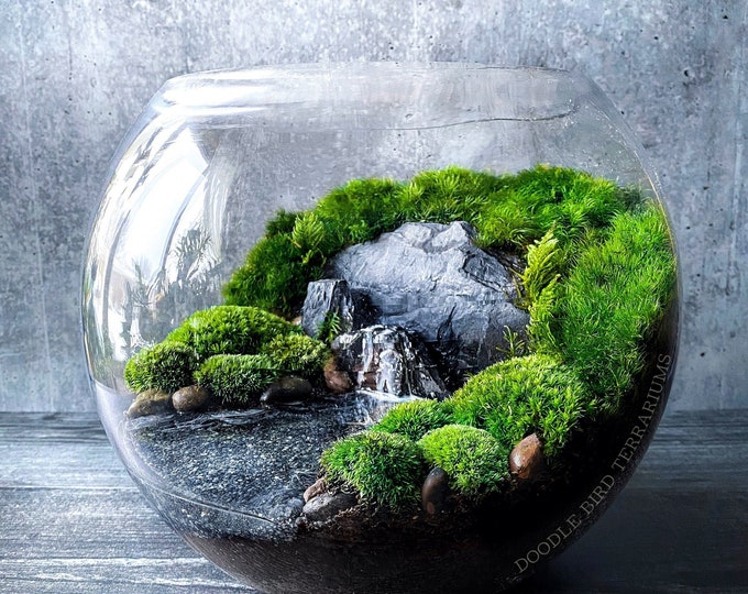 Featured listing image: Pacific Northwest Terrarium / Moody Grey Lake Landscape / Gift for Plant Lovers / Live Moss