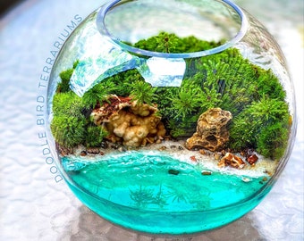 Coastal Terrarium with Sandy Beach in a Large Glass Vessel