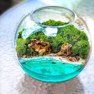 Coastal Terrarium with Sandy Beach in a Large Glass Vessel