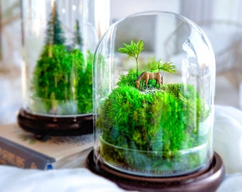 Horse Pasture Terrarium with Preserved Moss - No Care Required