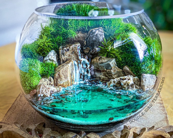 Featured listing image: Seaside Ocean Cavern Terrarium with Live Moss in Mini Glass Bowl