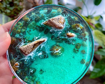 Terrarium Seaside Waterscape Kit for Do It Yourself Ocean Scene