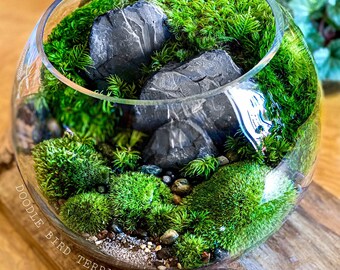 Organic Woodland Plant Terrarium with Mossy Green Landscape