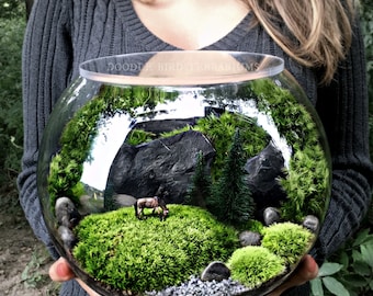 Grazing Horse Terrarium - Evergreen Miniature Green Pasture in Glass Globe for Table Decor
