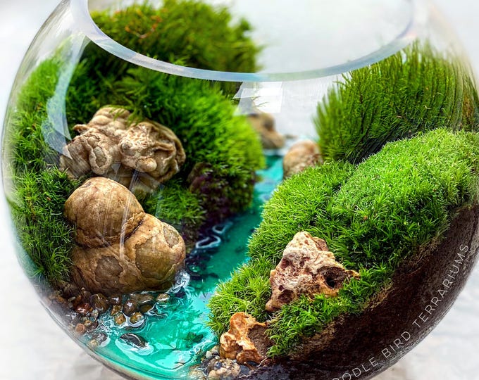 Featured listing image: Live Moss Terrarium: Large Glass Bowl with Resin River, Miniature Landscape