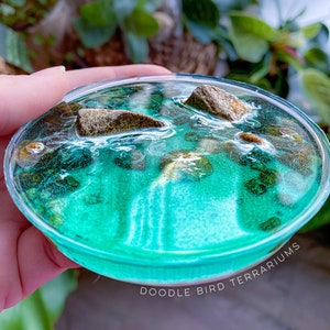 May include: A small, clear glass terrarium filled with a teal blue resin and small brown rocks. The terrarium is held in a hand and the text "Doodle Bird Terrariums" is visible at the bottom of the image.