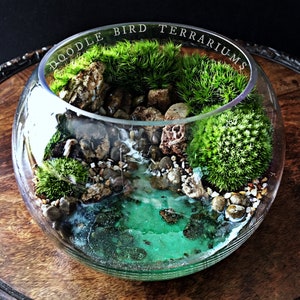 Ocean Cove Terrarium with Live Moss in Mini Glass Bowl