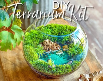 DIY Ocean Inspired Plant Kit - Beginner Terrarium Tutorial Set